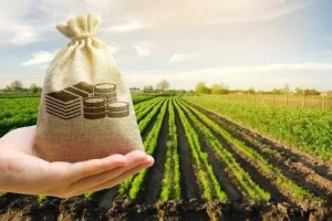 GST Council Cuts GST on Dairy Products, Fertilisers, Biopesticides & Farm Equipment